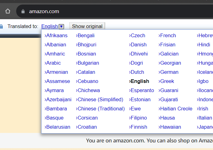Language option in Google Translate extension